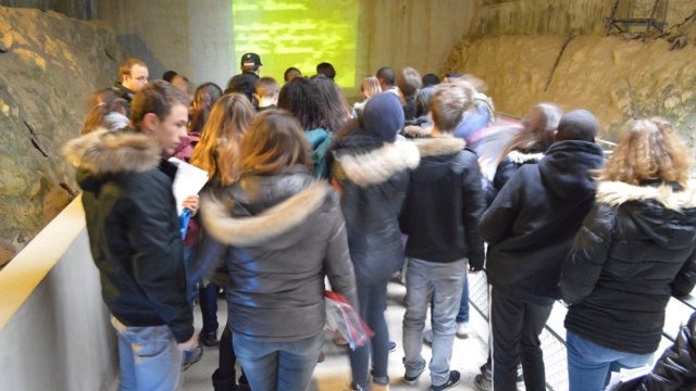 La caverne du Dragon